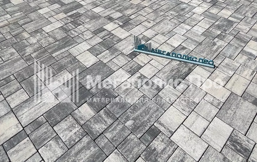 Тротуарная плитка 342 Механический завод Бавария ColorMix 60мм Арктика фото 5